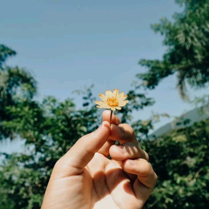 十三✨️