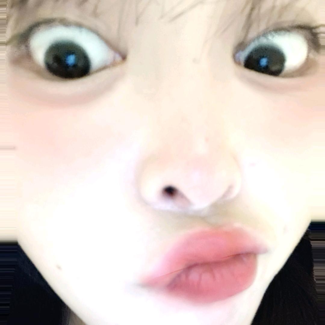 🐹🐹🐹