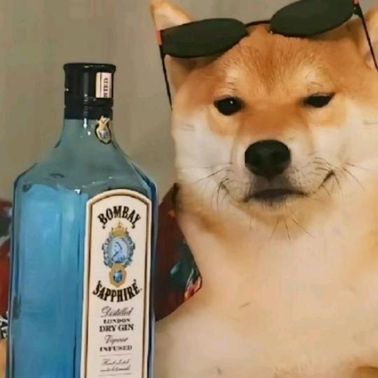 无所事事的宋某