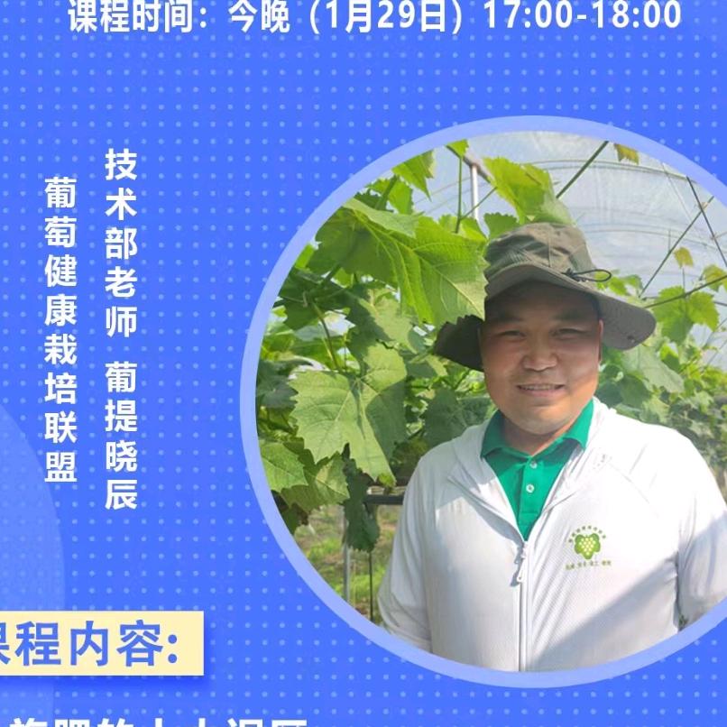 葡提晓辰【葡萄联盟】