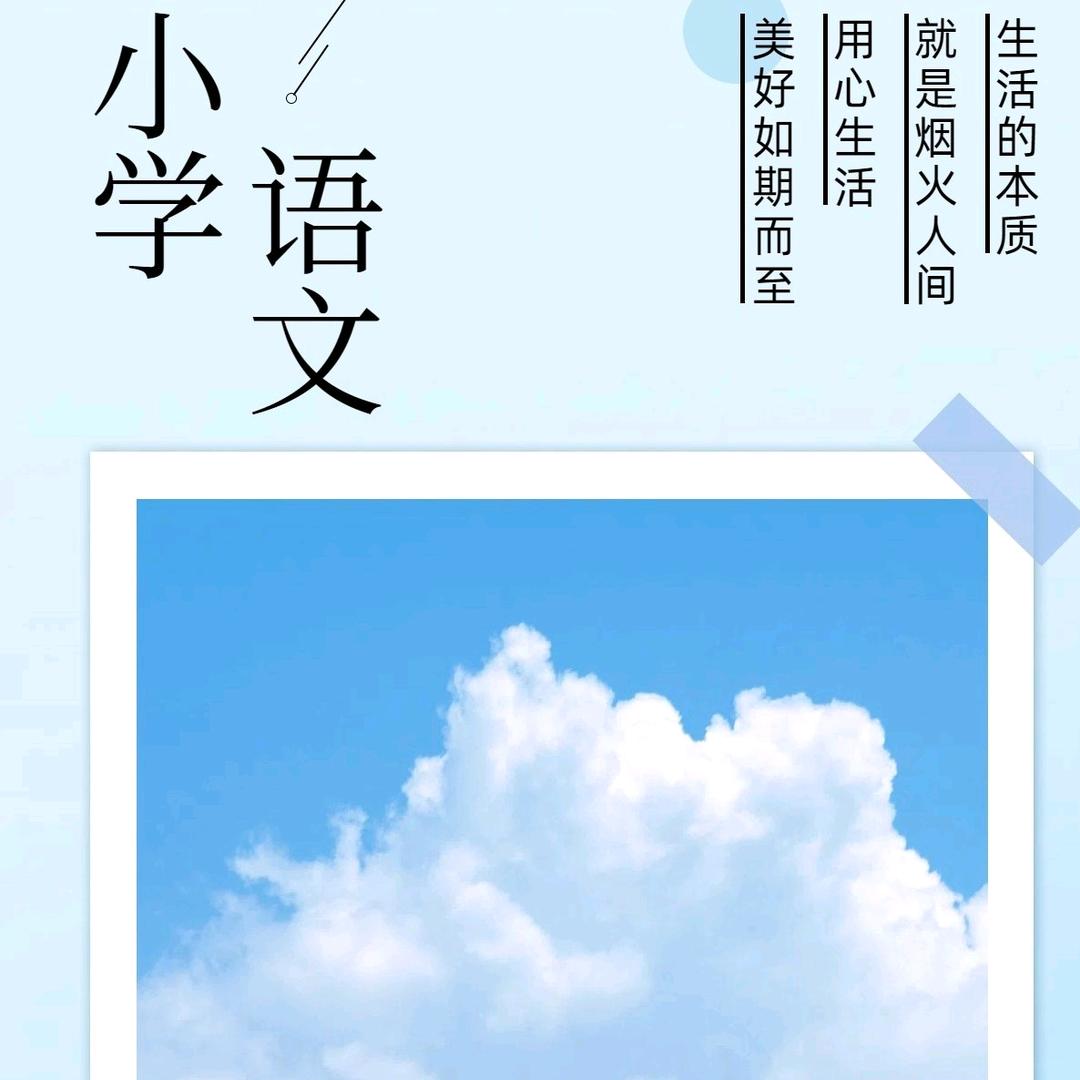 阳阳带你过教资