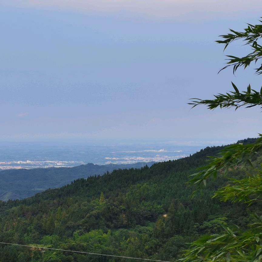 襄遇薤山 品薤风