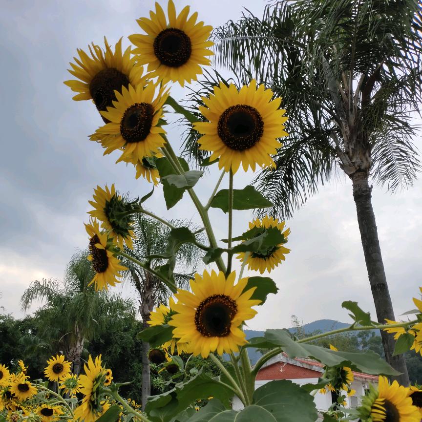 🐲鸿运当头🎶行善积德💞