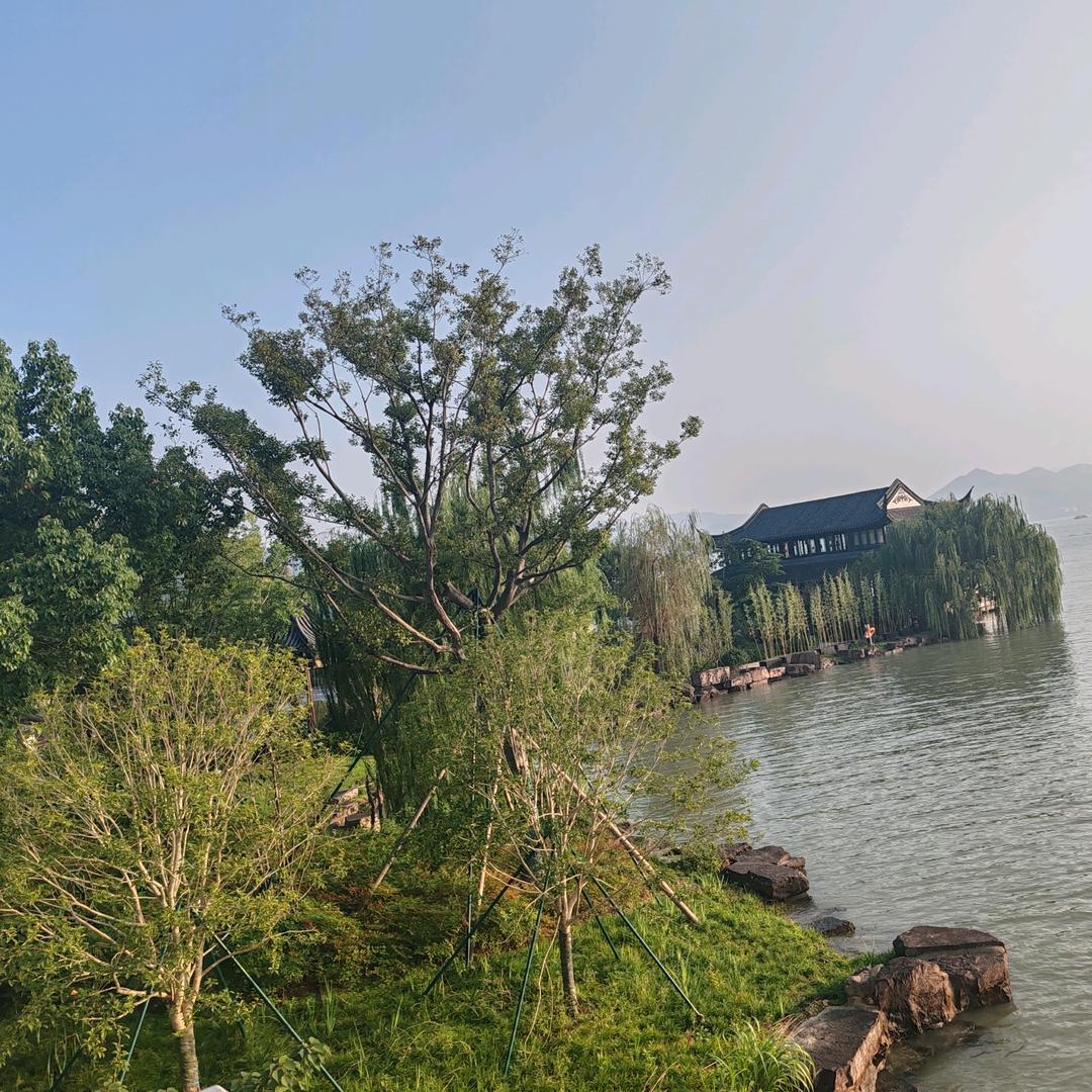 海与迟