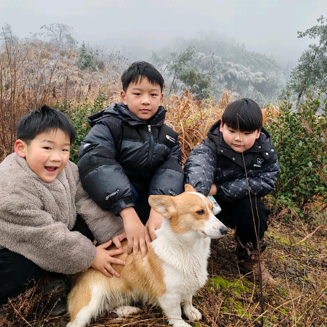 汽车免喷漆凹陷修复