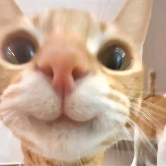 都随缘