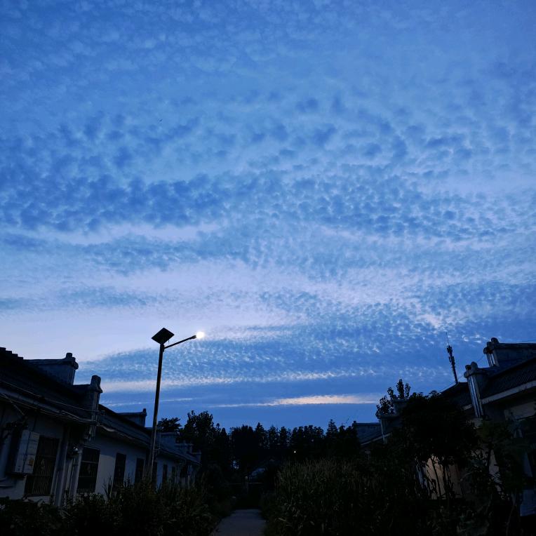 🐟会飞的鱼🐟