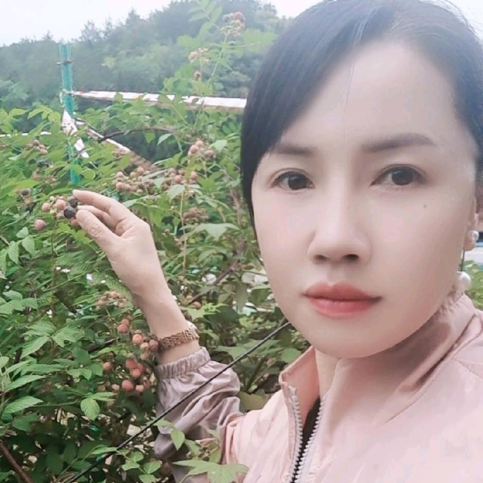 单身玲姐🌸