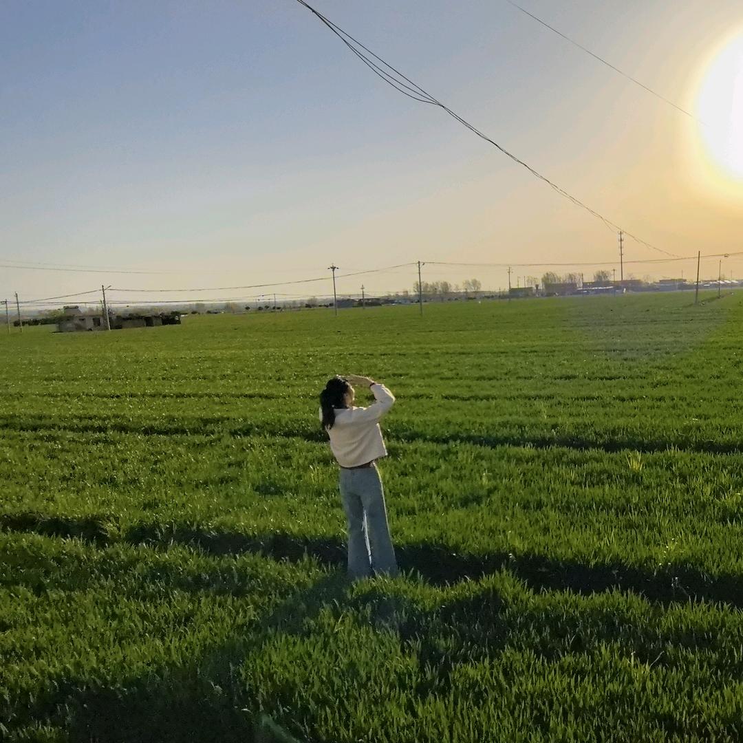 芒果XY