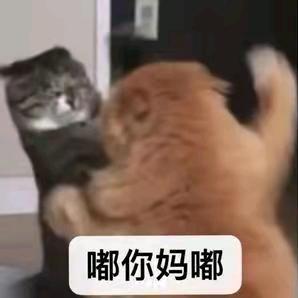 取名