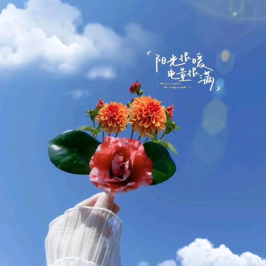 阳光💕
