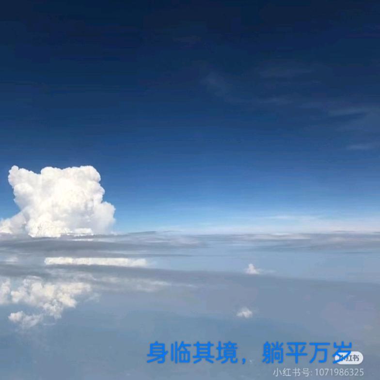 悠悠的迷茫人生