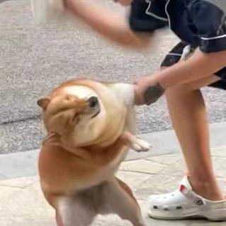 队长！别开枪！是我！