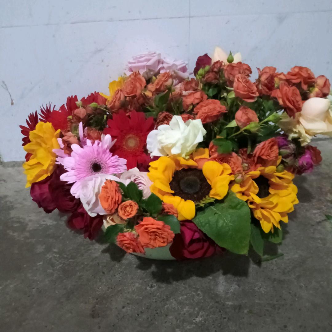 用户9590745782251