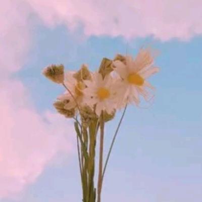 小禾苗藕粉杏仁茶