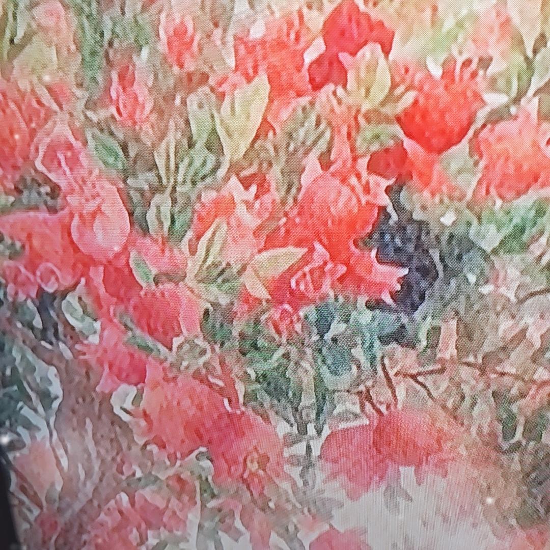 心无怨恨，勇往直前。