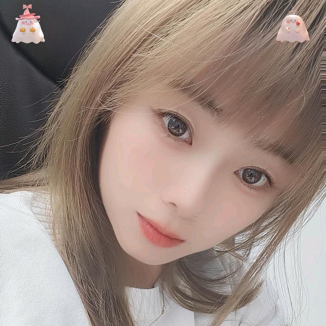 汪汪5🐶