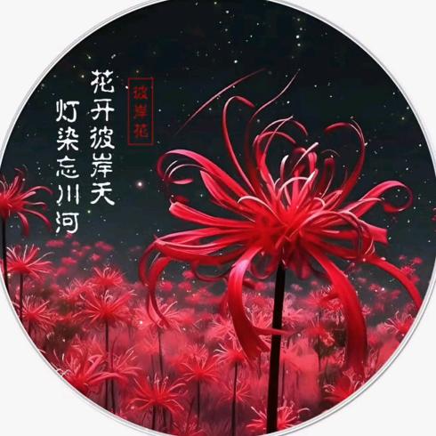 ℳঞ一叶 ໌້ᮨ꧔ꦿ一追寻