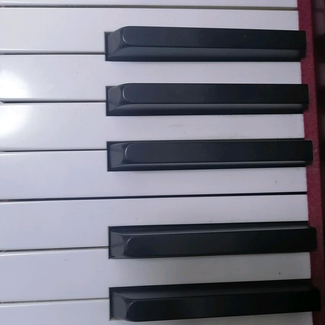 林浩电子琴教学