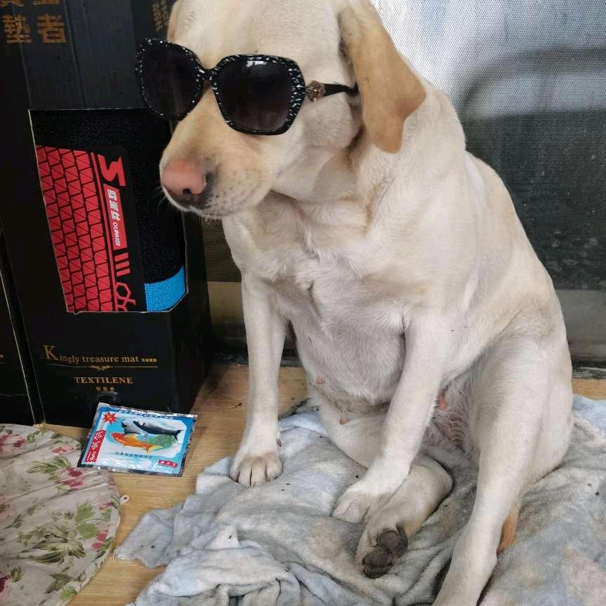 阿锟汽车维修