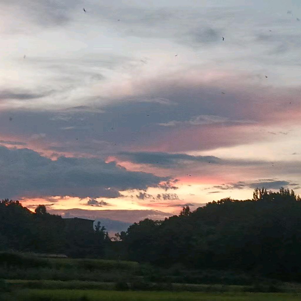 A0ღ. 有点慌唐࿐¹⁹⁹³