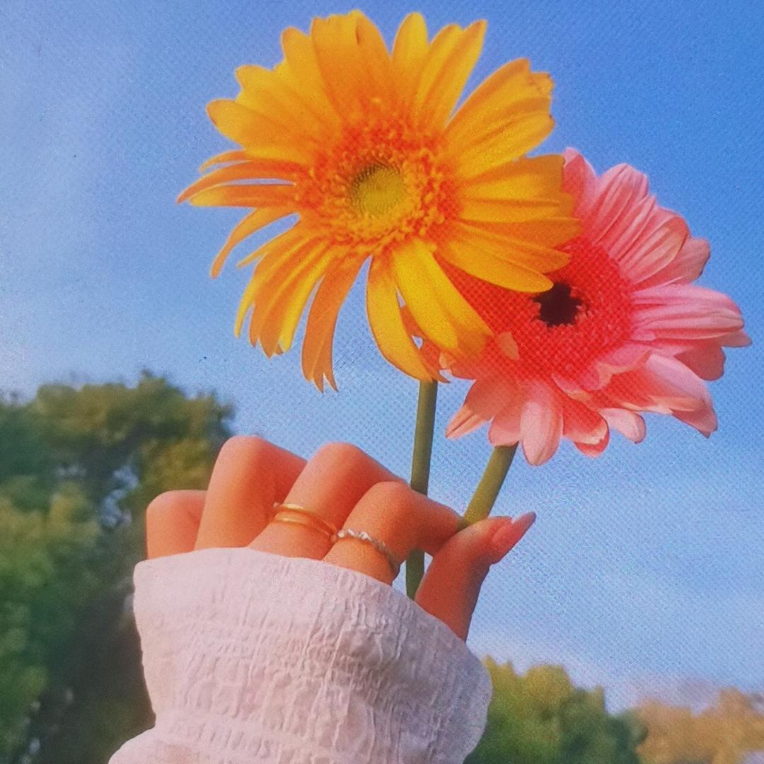 郝佳💅(可💍私聊)