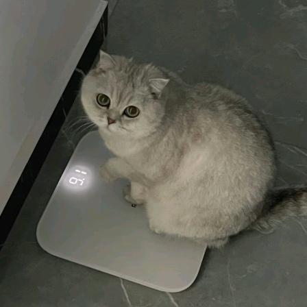黑白灰