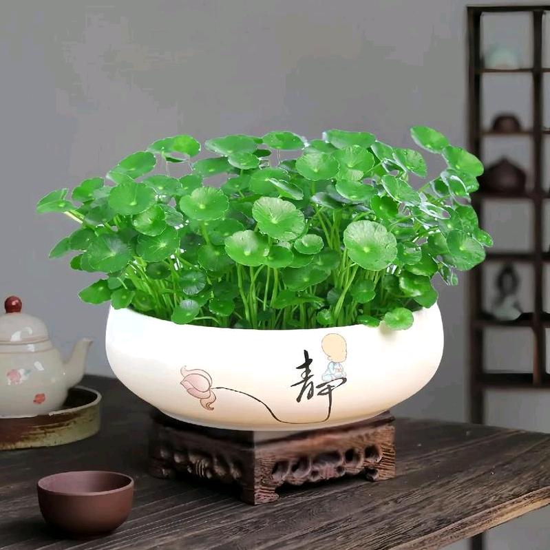 💞不念ཽ࿆过往᭄💞ꦿꦿ