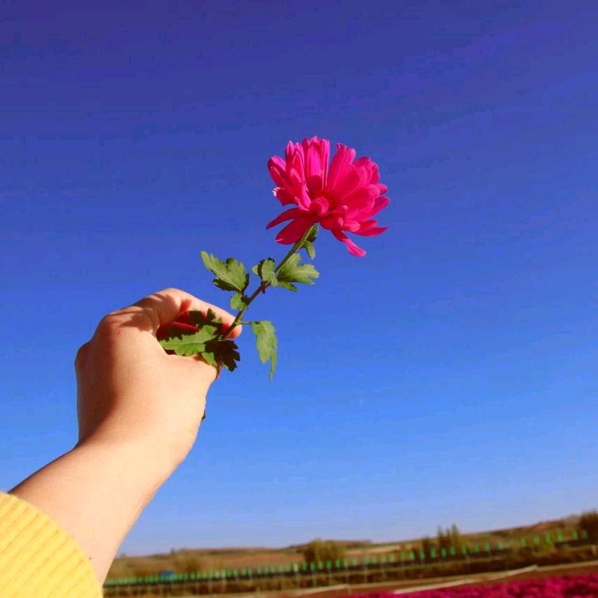 心语