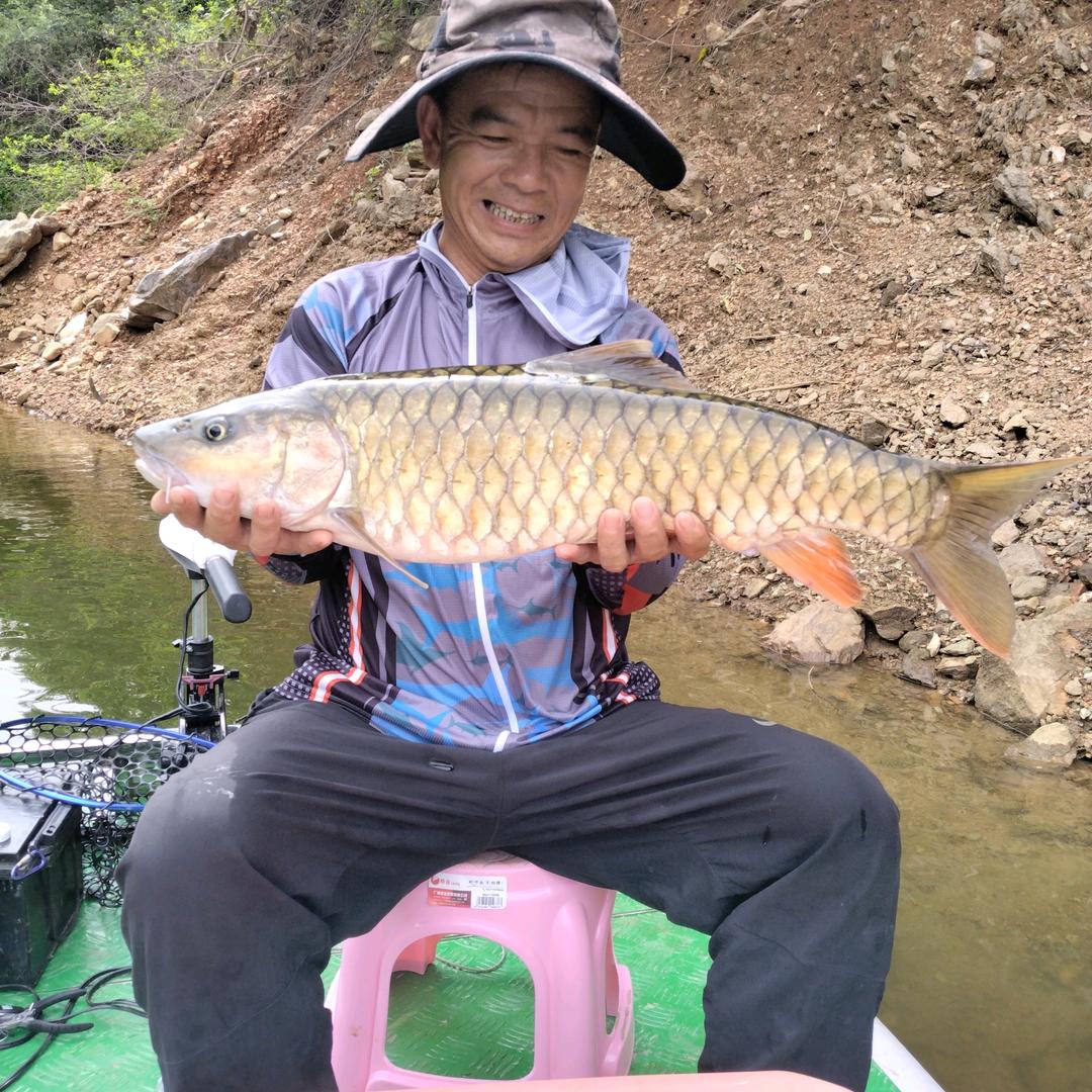 小路路“不成文”