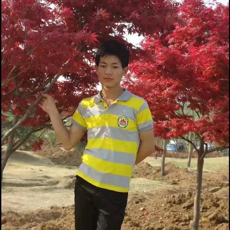 努力才有出头