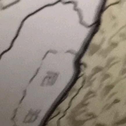 芒果的牙齿真好看