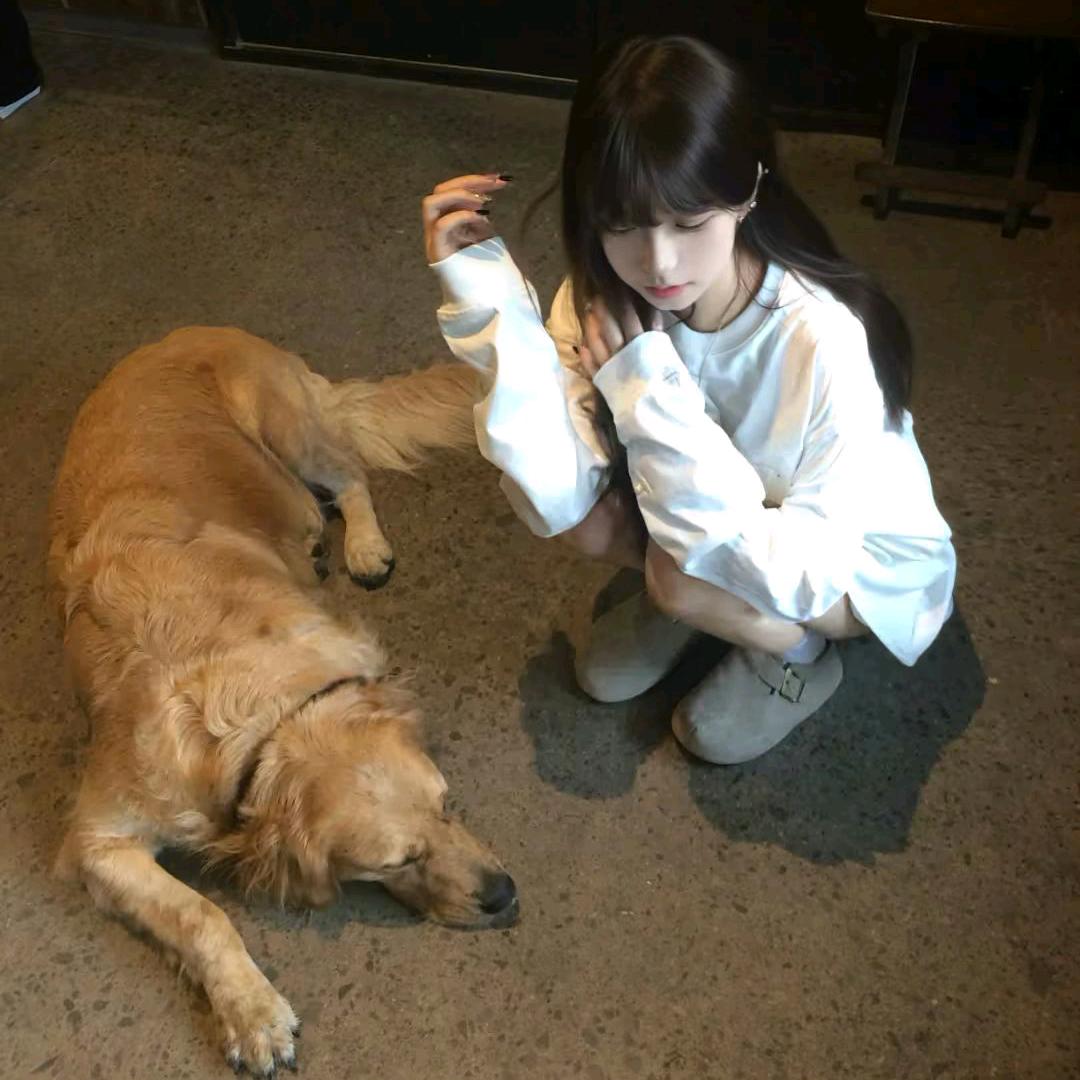 也许、
