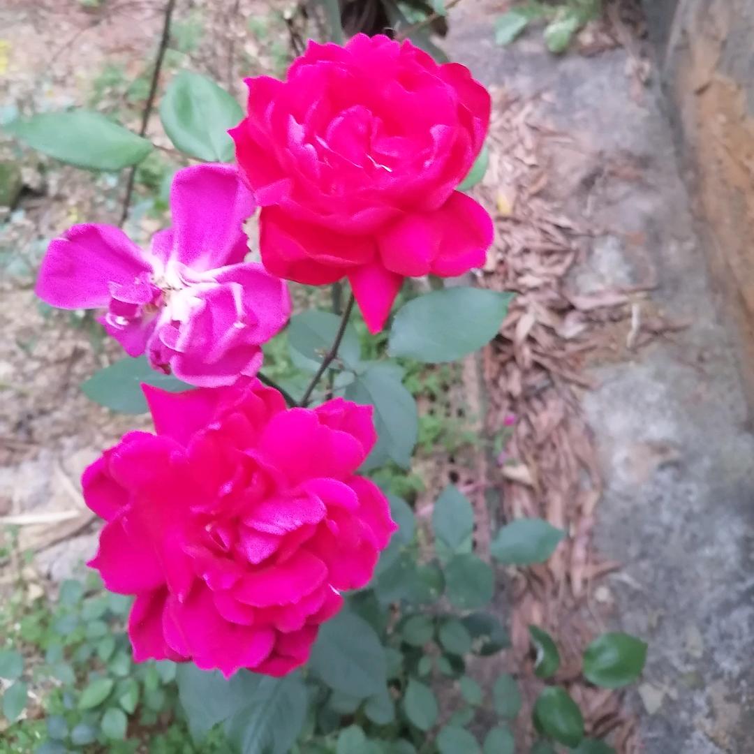 用户5876594720624蒙一一