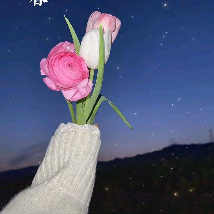 清欢自渡