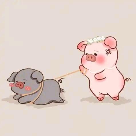 快乐小🐷