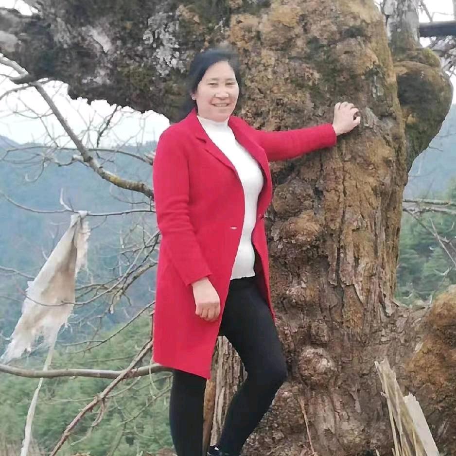 完美的梦想
