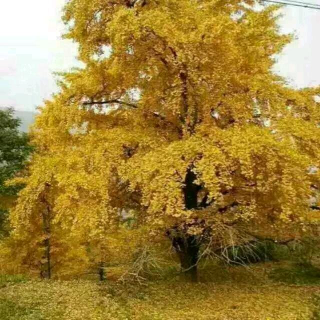 归零重启