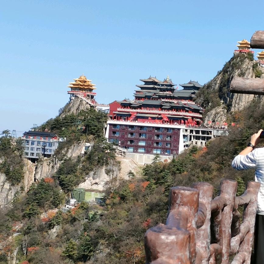 骆驼🐫爱跑步