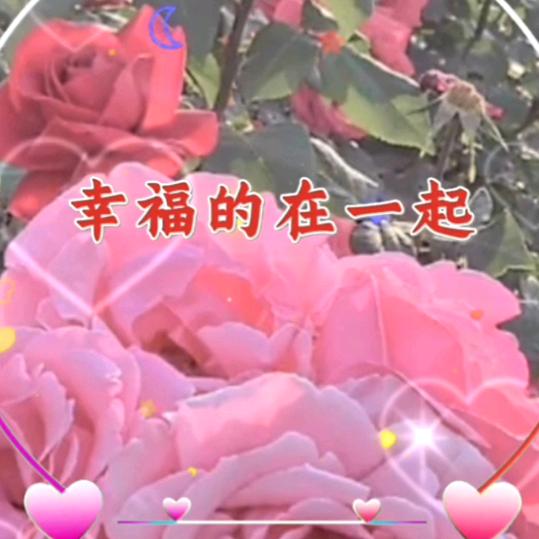快乐小瑞