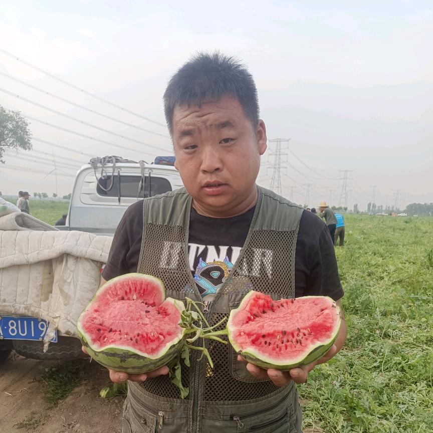 天津本地大龙西瓜专业带办