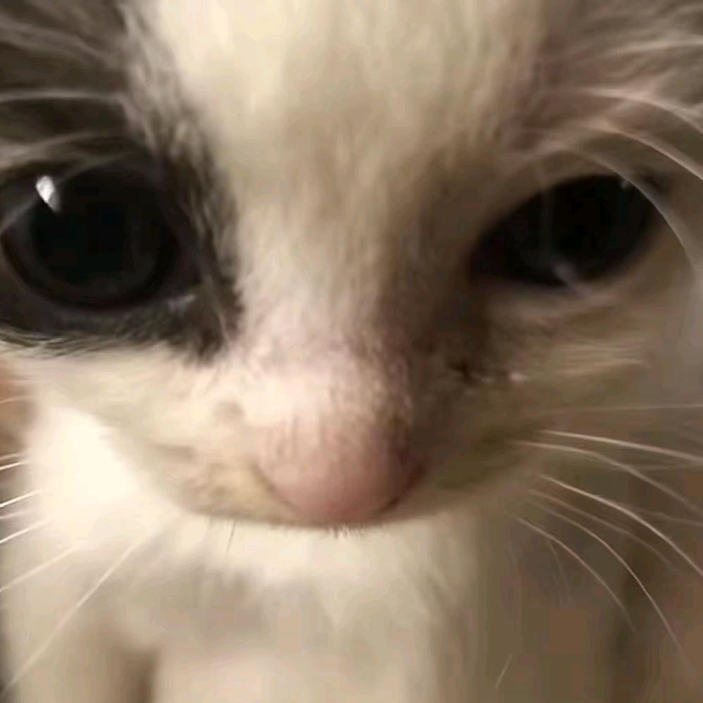 弥