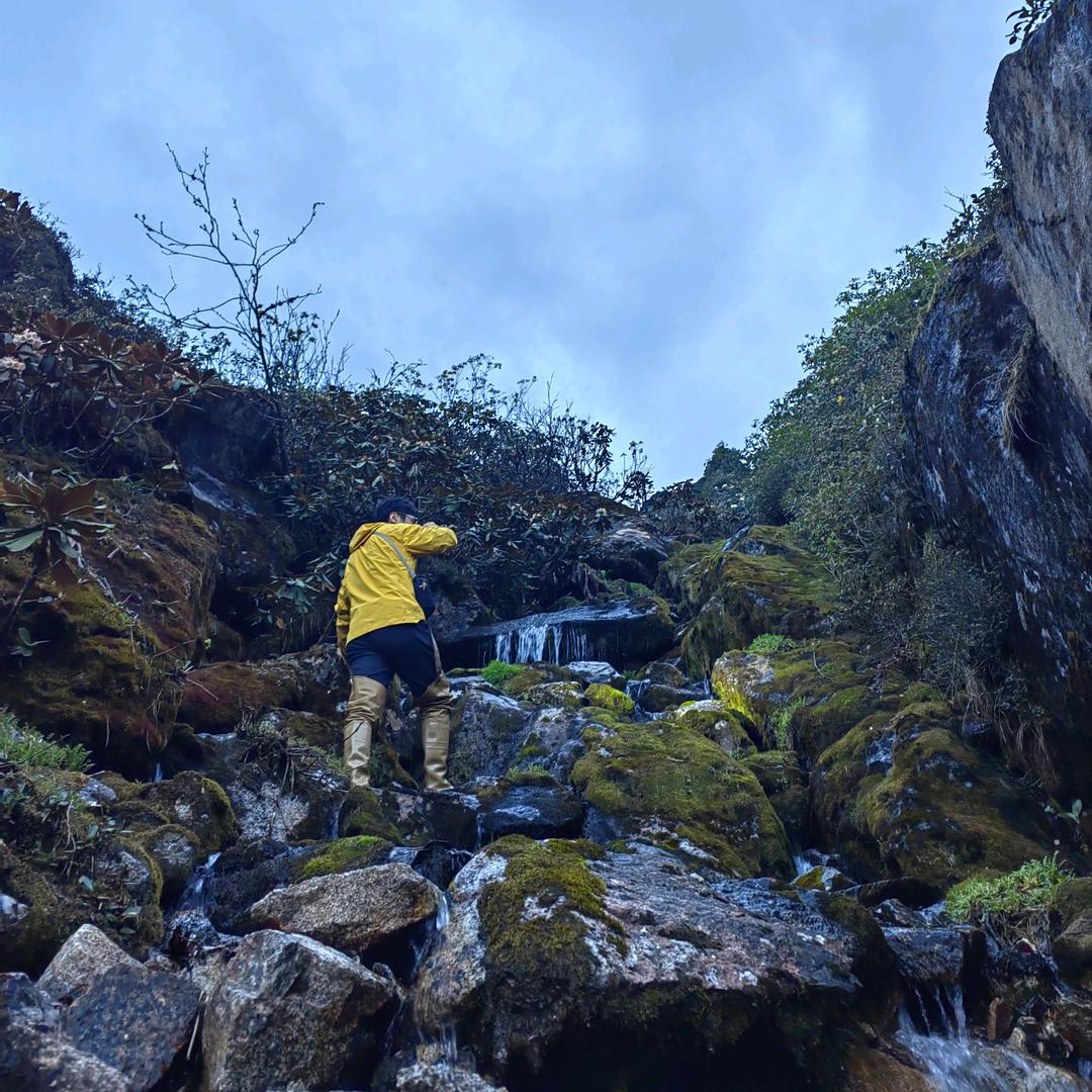 两爬大师兄林一