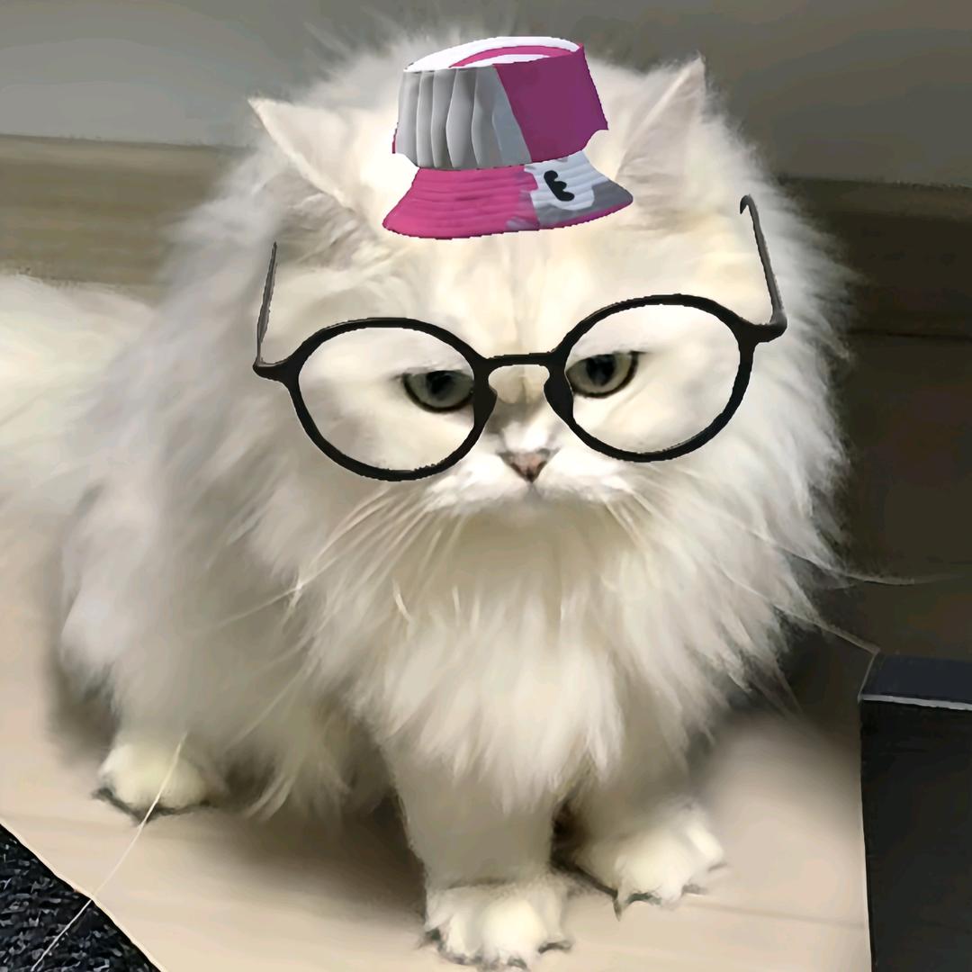 壹一Cap