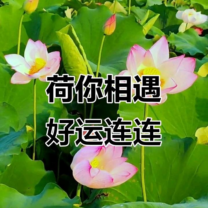 小毛日常