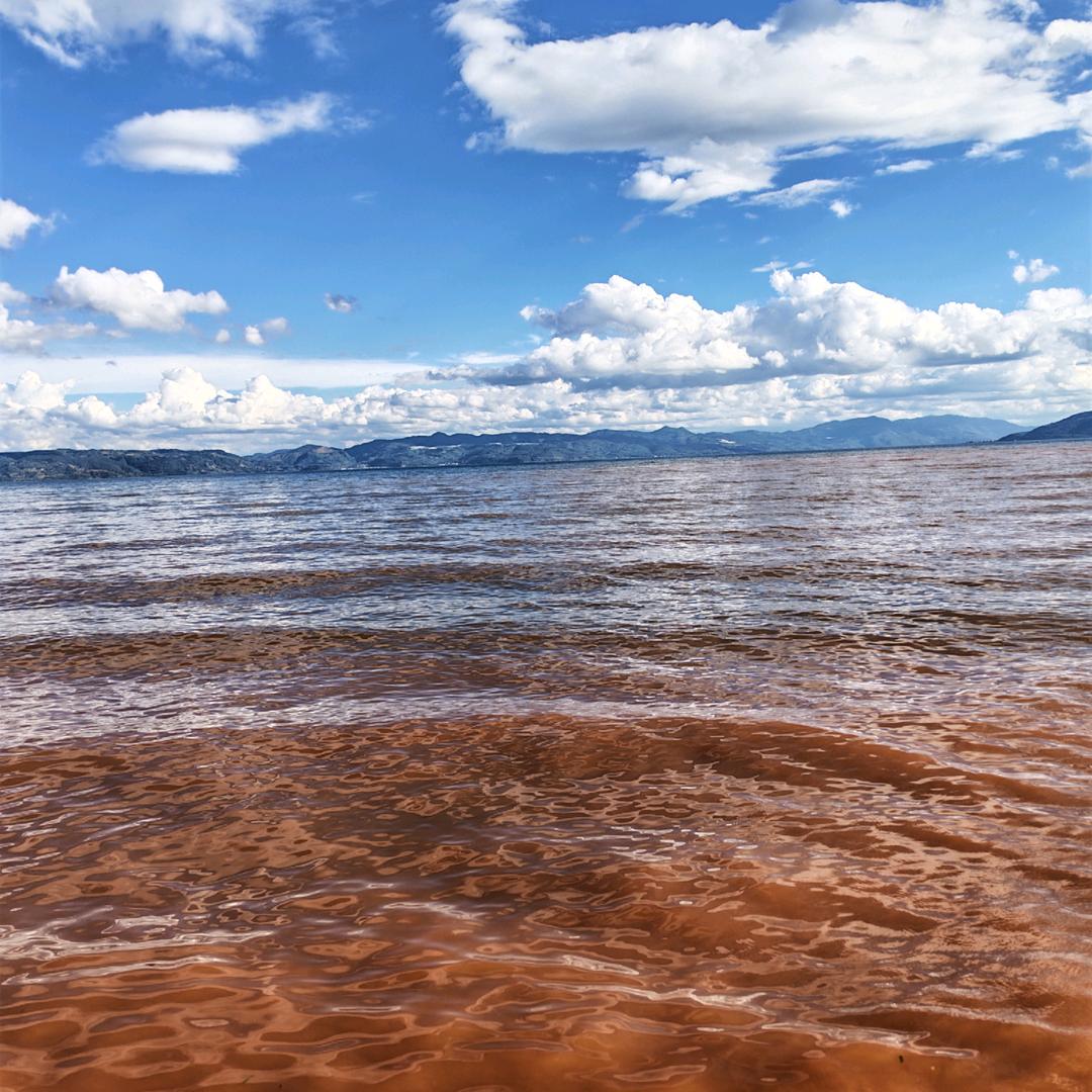 🌈一路向北꧁᭄ ꧂