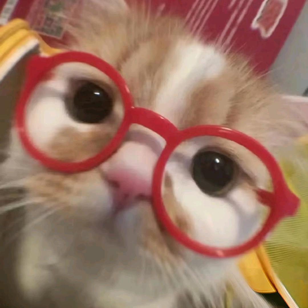 唯一.