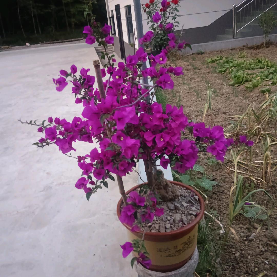 我就是胡银森