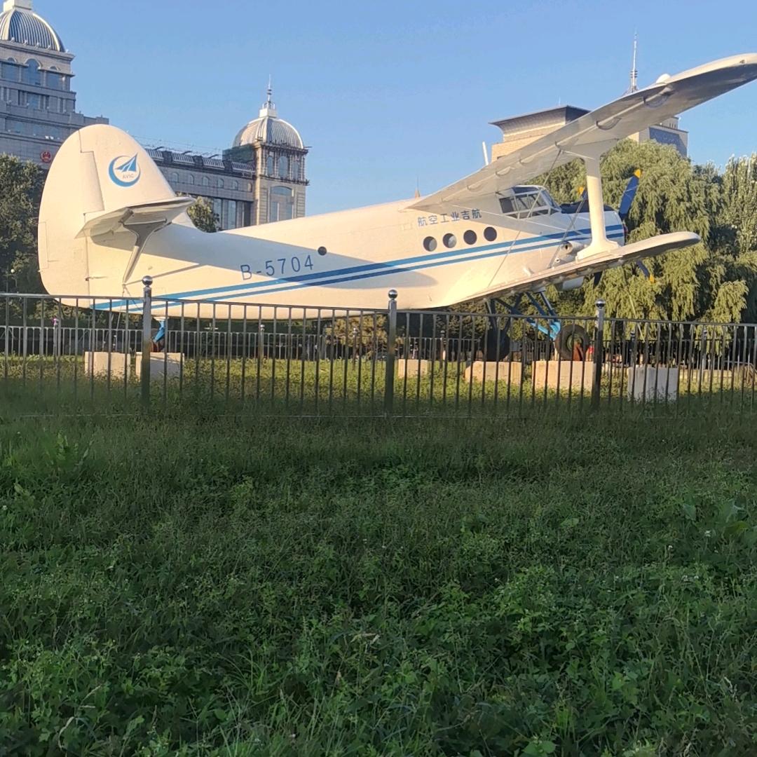 青龙护身