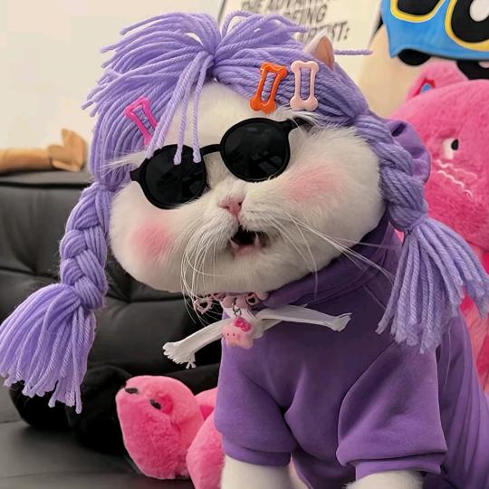 冰🧊